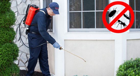 Beykoz Uçan Haşere İlaçlama böcek ilaçlama ve haşere kontrolü — ilaclama-tr.com